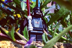 Darth Vader im Urlaub