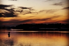 Abendstille an der Donau