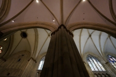 Regensburger Einblicke