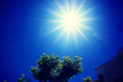 Pure Energie