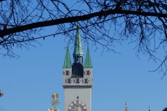 Straubinger Einblicke