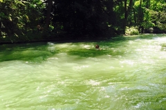 Isar-Grün