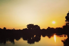 An der Donau