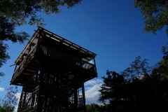 Turmwelt