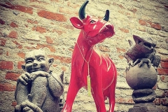 Der Stier in mir!