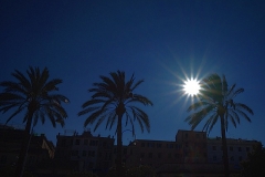 Palmenmond