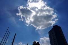 Blue Motion
