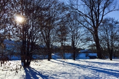 Spaziergang im Winterschnee