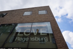 Regensburger Einblicke
