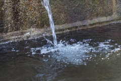 Wasser marsch!