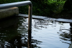 Wasserwelt