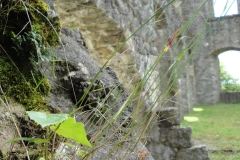 Burgwelten