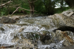 Wasserwelt