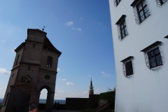Landshuter Einblicke