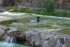 Wasserwelt