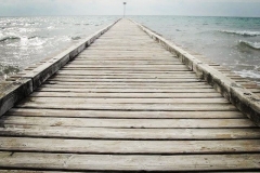 Alle Wege führen zum Meer