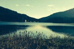 Am See