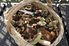 Jagdglück