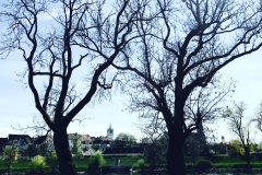 An der Donau