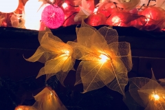 Lichterwelt