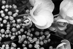 Blumenmomente