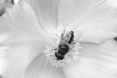 Wunderbare Natur
