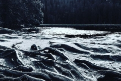 Am Arbersee