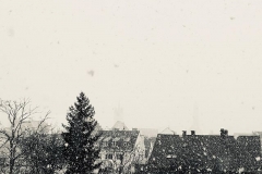 Weitblick