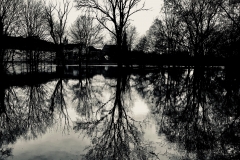 An der Donau