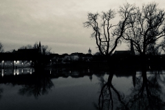 Donauimpression