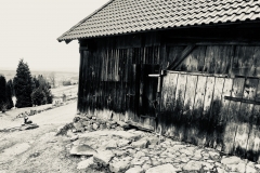 Stallidylle