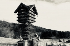 Taubenkobel
