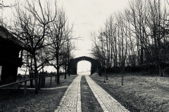 Wege
