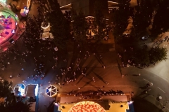 Gäubodenvolksfest Straubing 2018