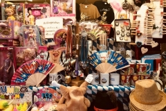 Gäubodenvolksfest Straubing 2018